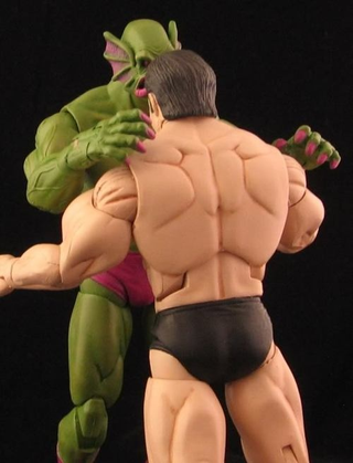 Illustration for article titled A Winner is These Custom NES Pro Wrestling Figures